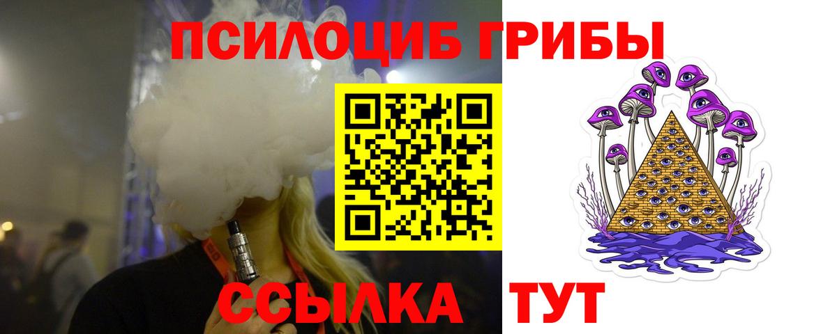 Псилоцибиновые грибы мухоморы  Псилоцибиновые грибы прущие грибы  Заволжье  Вход с VPN 